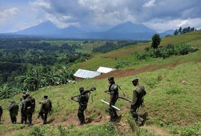 Nord-Kivu : les FARDC-Wazalendo reprennent le contrôle de Bitonga